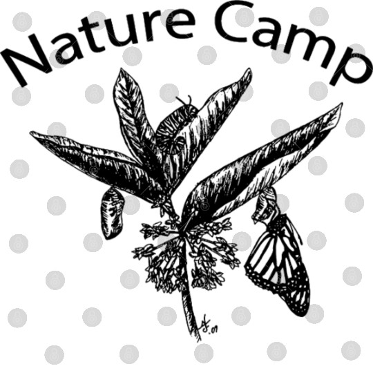 Nature Camp Monarch Digital Files