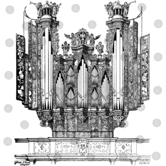 Organ in the Church of Santa Maria di Carignano, Digital Files