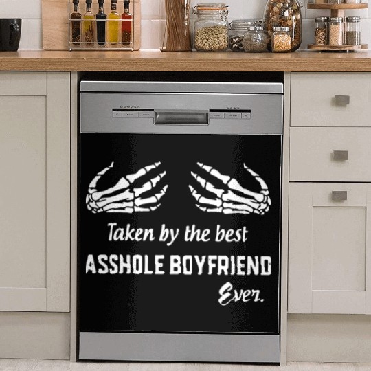taken by the best asshole boyfriend ever boyfriend Dish Washer Covers
