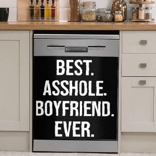 Best Asshole Boyfriend Ever Dish Washer Covers