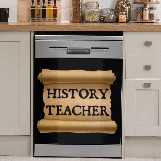History Teacher Dish Washer Covers