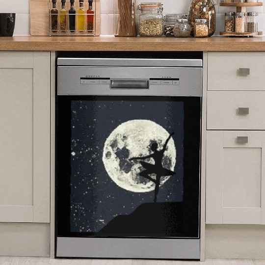 Ballet Dancer Moonlight Ballet Instructor Gift Dish Washer Covers