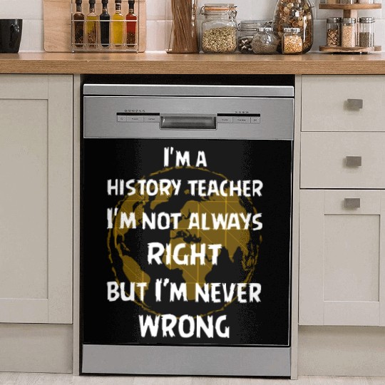 I'm a history teacher Dish Washer Covers