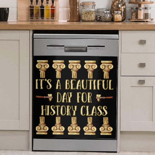 I Teach History Teacher Dish Washer Covers