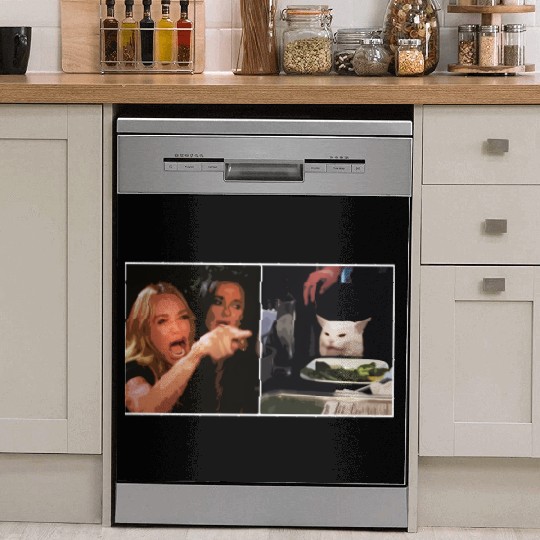 Yelling At A Cat Meme Dish Washer Covers