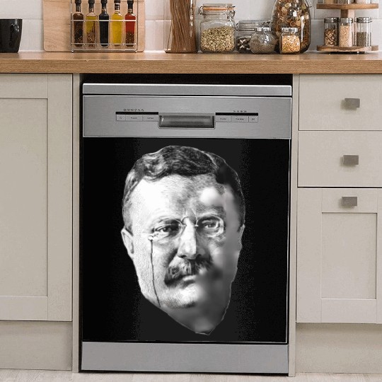 President Teddy Roosevelt Dish Washer Covers