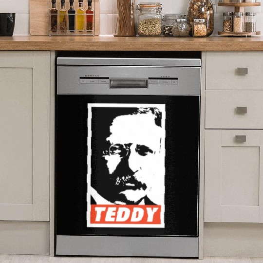 Teddy Roosevelt Dish Washer Covers