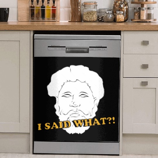 I Said What Philosophy Socrates Teacher Reading Dish Washer Covers