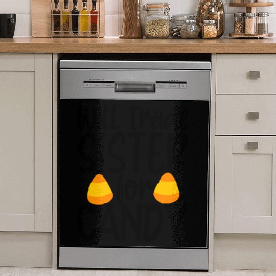 Will Trade Sister For Candy Dish Washer Covers