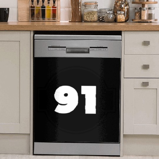 Congratulations Today 91 Years Old - Ninety-Nine Dish Washer Covers