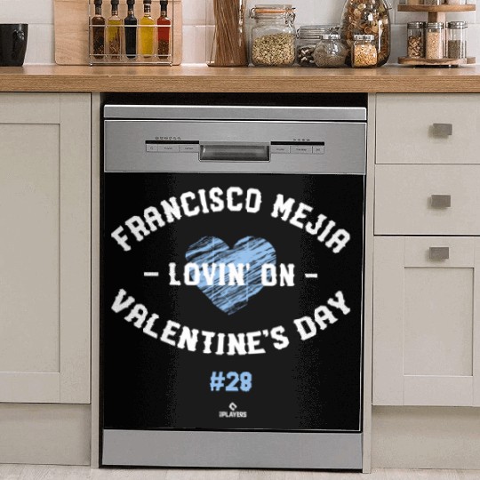 Francisco Mejia Lovin' On Valentine's Day Tampa Ba Dish Washer Covers