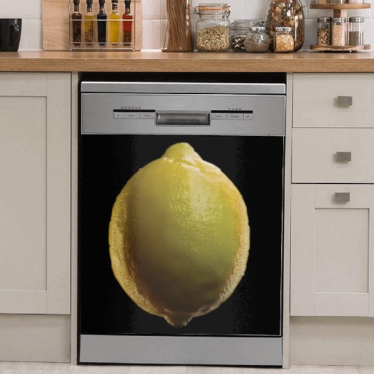 Lemon Realistic Dish Washer Covers
