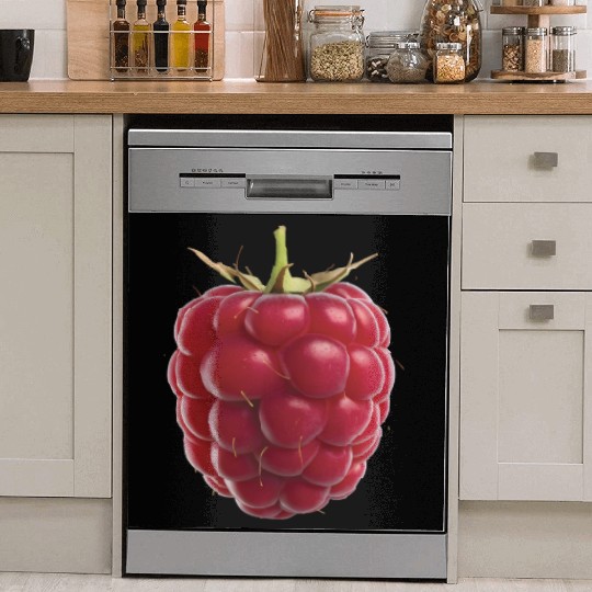 Raspberry Realistic Dish Washer Covers