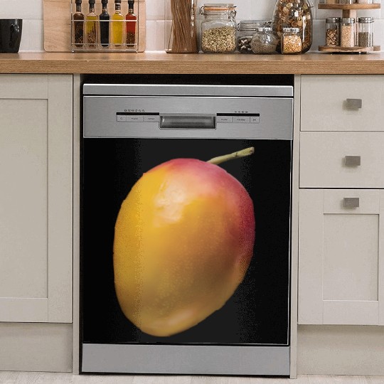 Mango Realistic Dish Washer Covers