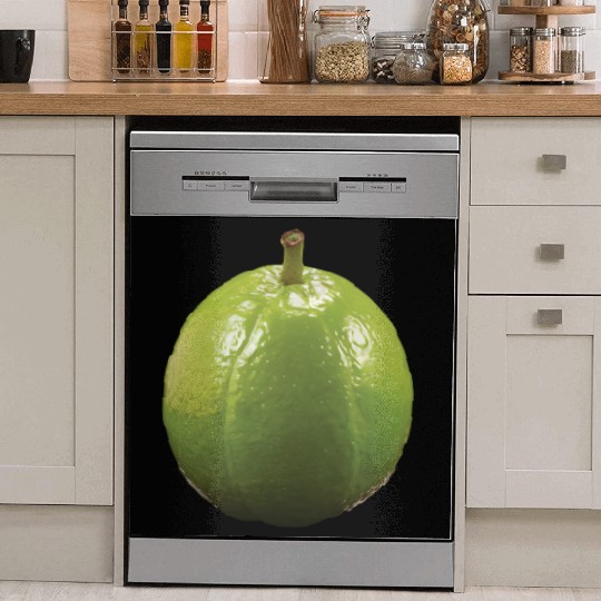 Guava Realistic Dish Washer Covers