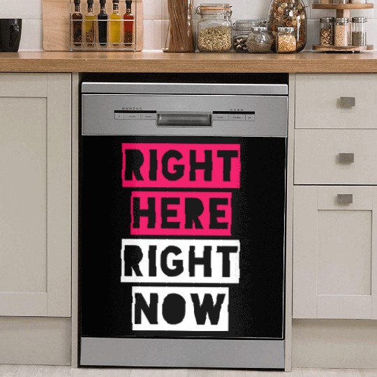 RIGHT HERE RIGHT NOW Dish Washer Covers