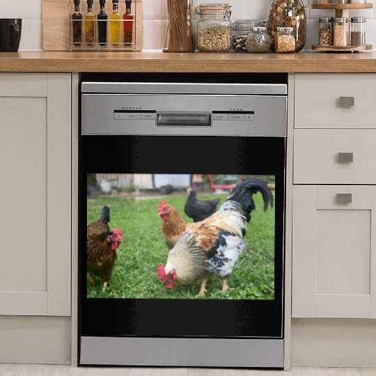 Farmyard Rooster and Chickens Illustration Dish Washer Covers