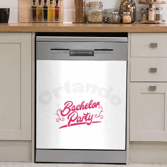 Bachelor Party Dish Washer Covers Orlando Pre Wedding