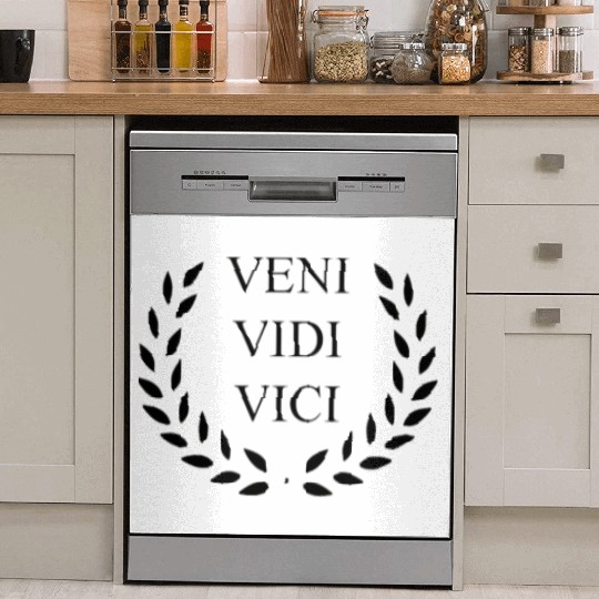 History Teacher Dish Washer Covers