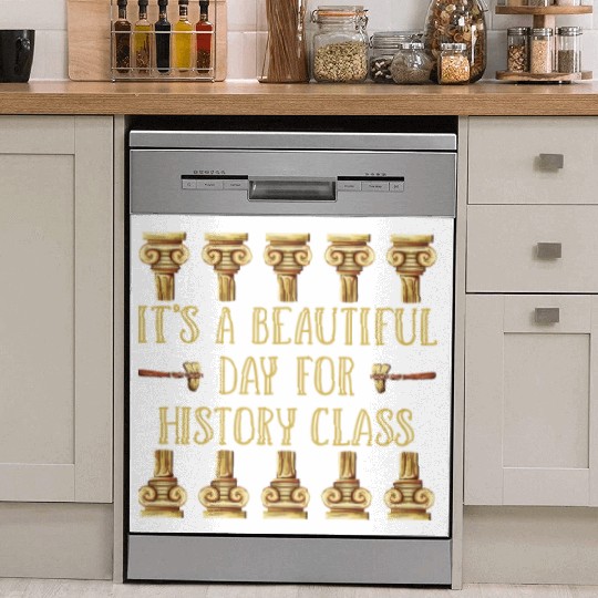 I Teach History Teacher Dish Washer Covers