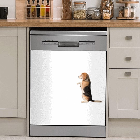Beagle Definition PWBTP Dish Washer Covers