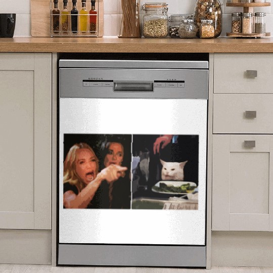 Yelling At A Cat Meme Dish Washer Covers