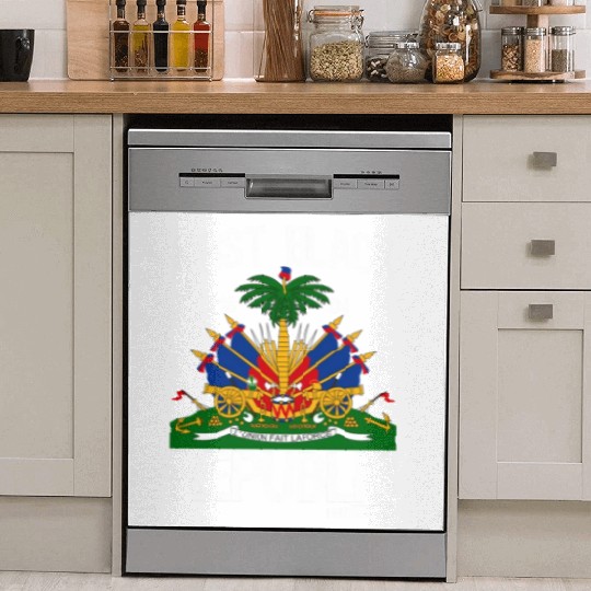 Haitian History Revolution Since 1804 First Black Dish Washer Covers