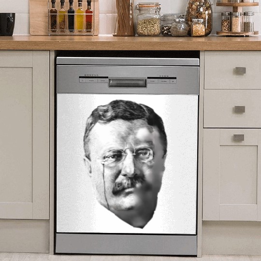 President Teddy Roosevelt Dish Washer Covers