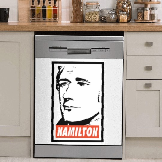 Alexander Hamilton Dish Washer Covers