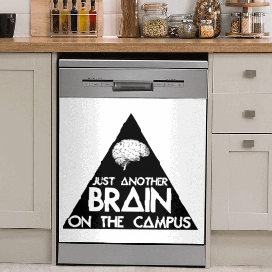 Another Triangle On The Campus Dish Washer Covers