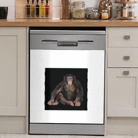Respect The Monkey Photo Funny Primate Ape Lover Dish Washer Covers