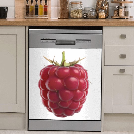 Raspberry Realistic Dish Washer Covers