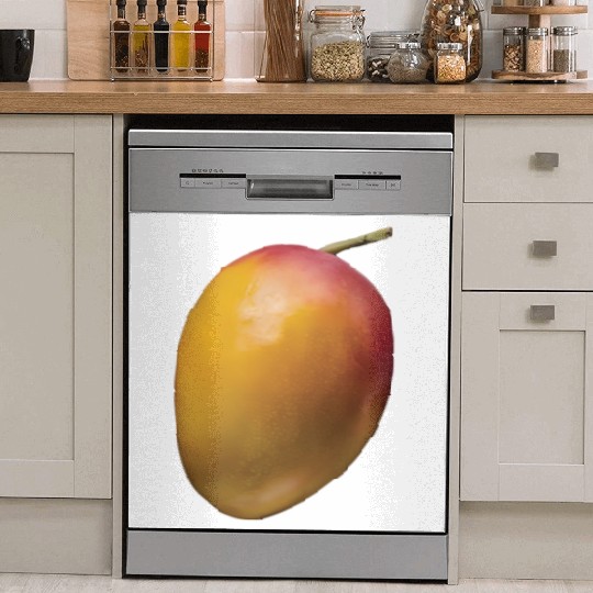 Mango Realistic Dish Washer Covers