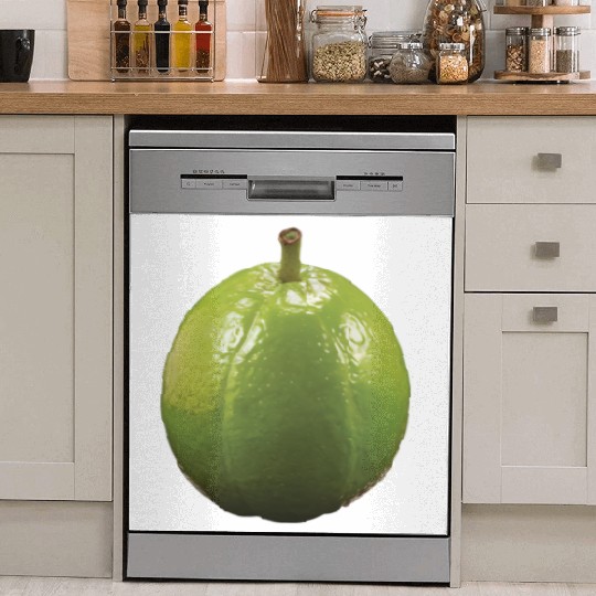 Guava Realistic Dish Washer Covers