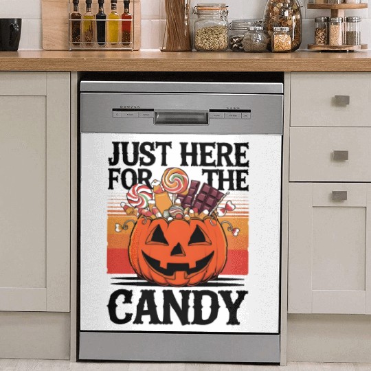Just Here for the Candy Dish Washer Covers