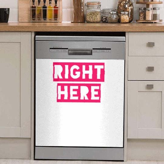 RIGHT HERE RIGHT NOW Dish Washer Covers