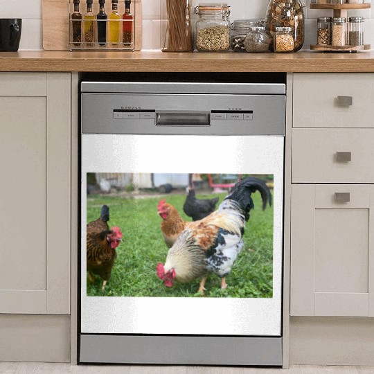 Farmyard Rooster and Chickens Illustration Dish Washer Covers