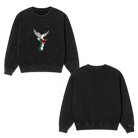 Free Palestine Palestinian Flag Bird Eagle Palesti Double Sided Mineral Wash Sweatshirts