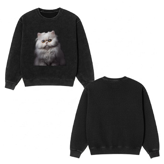 Persian Cat - A Sweet Gift Idea For All Cat Double Sided Mineral Wash Sweatshirts