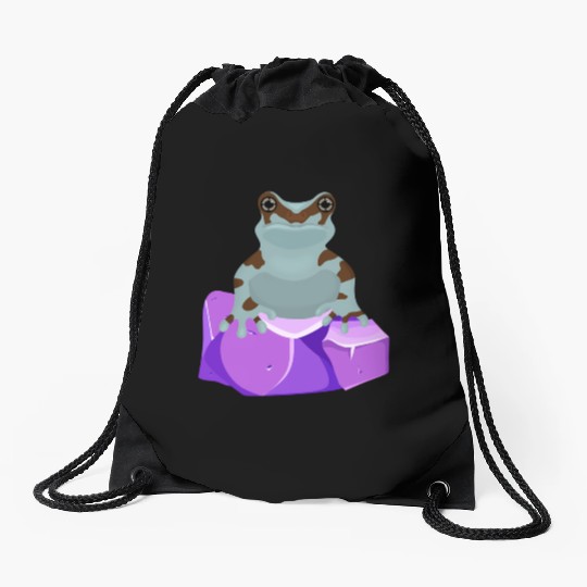 Frog Crystal Amethyst Gemstone For Toad Owners Drawstring Bags
