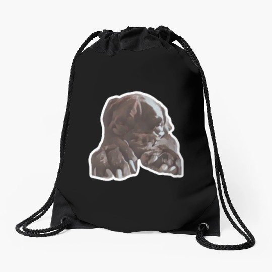 Cane corso in its natural sleeping environment Drawstring Bags