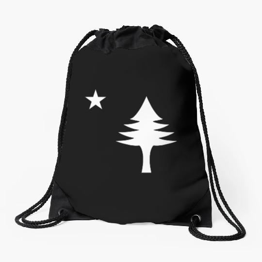 Pine tree and star 1901 flag of Maine State Drawstring Bags