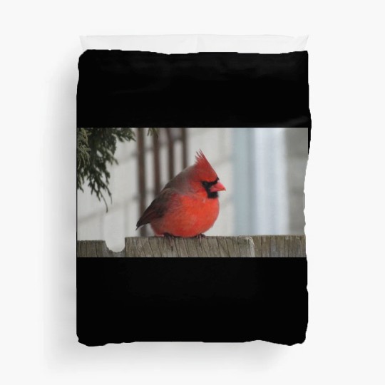 Brilliant Cardinal Bird 2 Duvet Covers