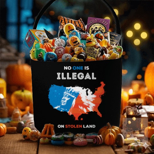 No One Is Illegal on Stolen Land Fabric Baskets