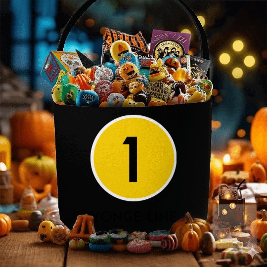 Yonge Street Subway Line Fabric Baskets