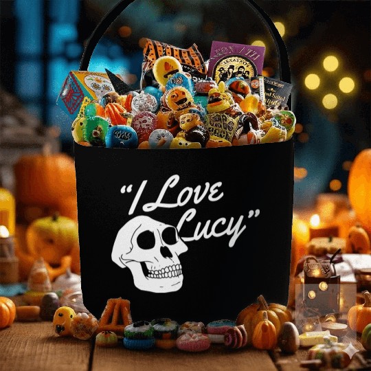 I LOVE LUCY Fabric Baskets