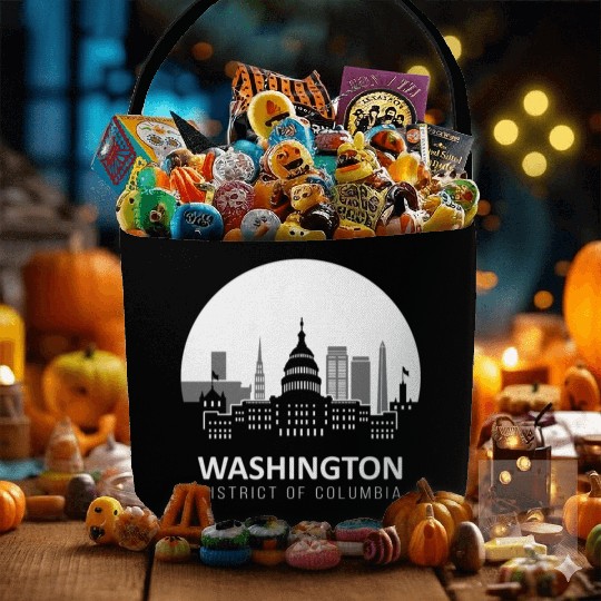 Washington D.C. Fabric Baskets