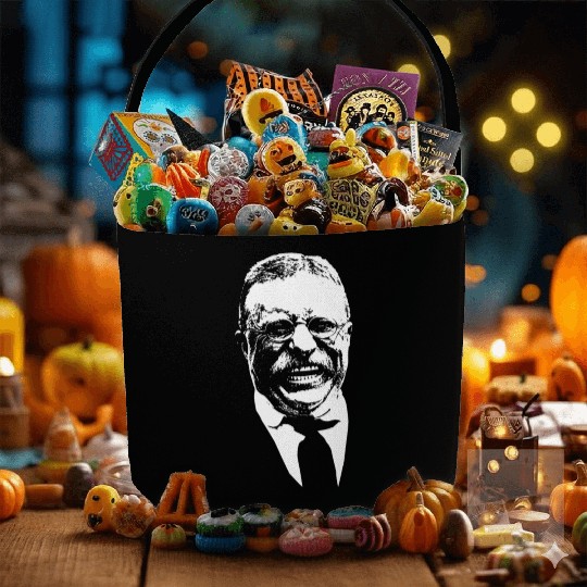 President Teddy Roosevelt Graphic Fabric Baskets