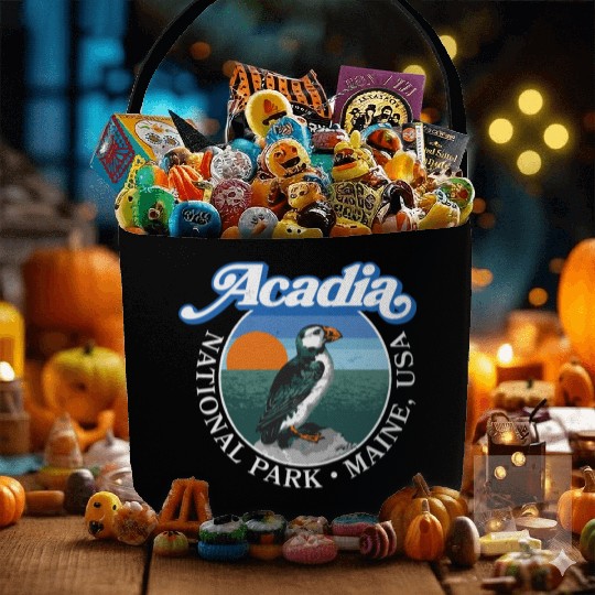 Retro Acadia National Park Vintage Maine Puffin Fabric Baskets