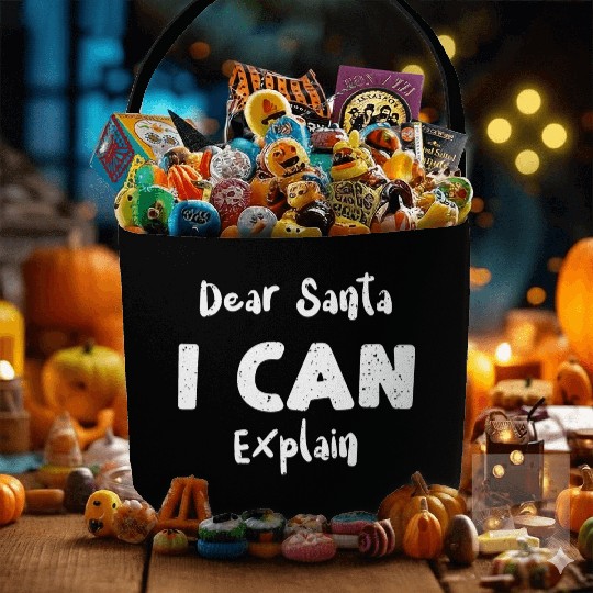 Dear Santa I Can Explain Fabric Baskets